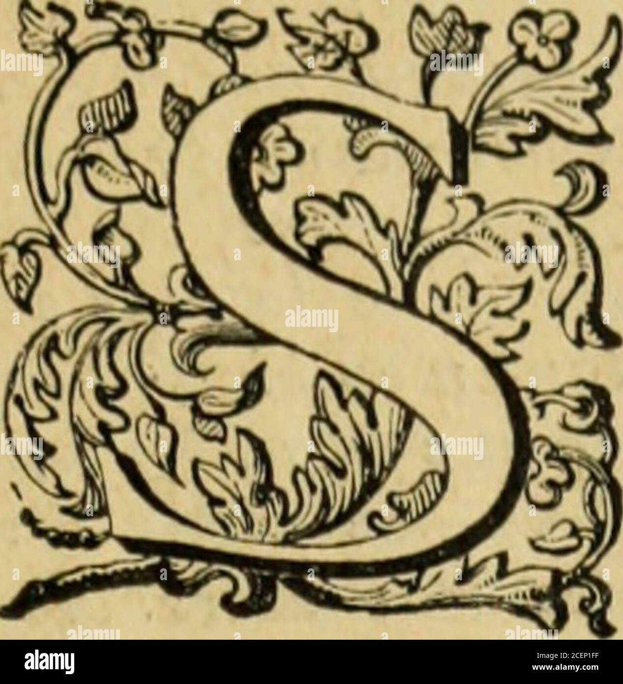 . XVIII siècle, Galant et Littérire. Pression du sentiment avec celle du plaisir. La der-nière, sur le croira sans peine, est celle qui me touche le plus.il sen apperçoit, se relevé, et me dit : Javotte, tu es bonne, je taime, que de raison pour moi pardonner! en disant cesmots, il me posse contre un siège, je tombe dessus, il mysuit, et jai la satisfaction de jouir de mon triomphe en pré-clôture de ma rivale. meût presse déterminéà le mètre à son comble sans qu'il soit recommandé de le faire dans mon amé. Outried de depit, and chargée de confusion, the grisette shabilleà Banque D'Images