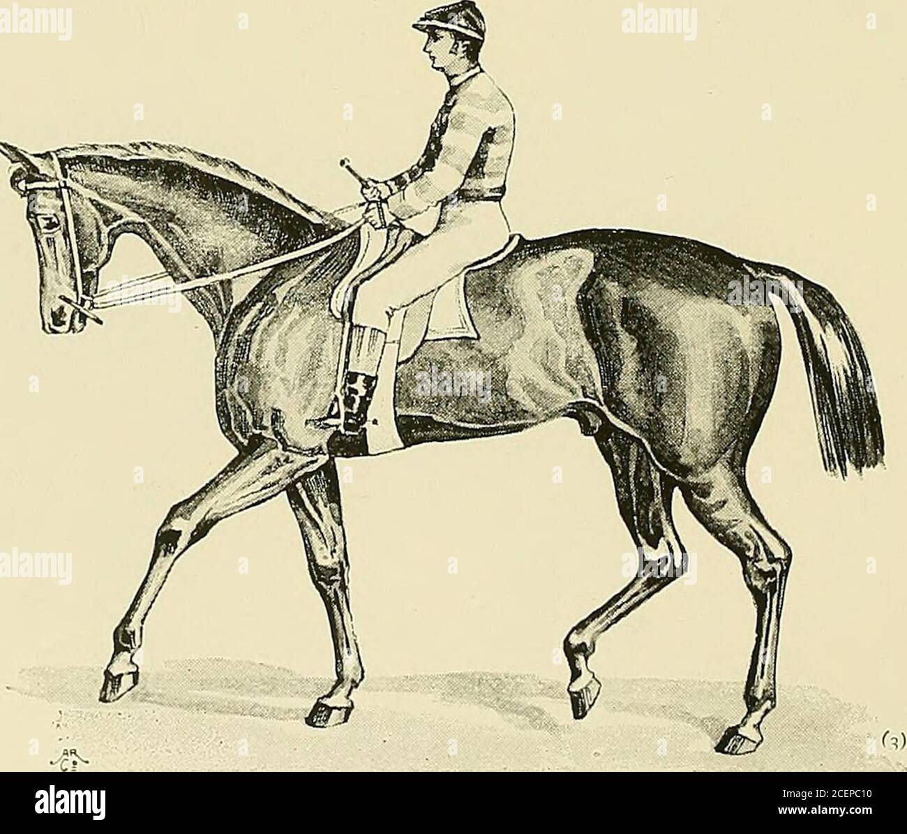 . Le cheval arabe, son pays et son peuple : avec des portraits d ...