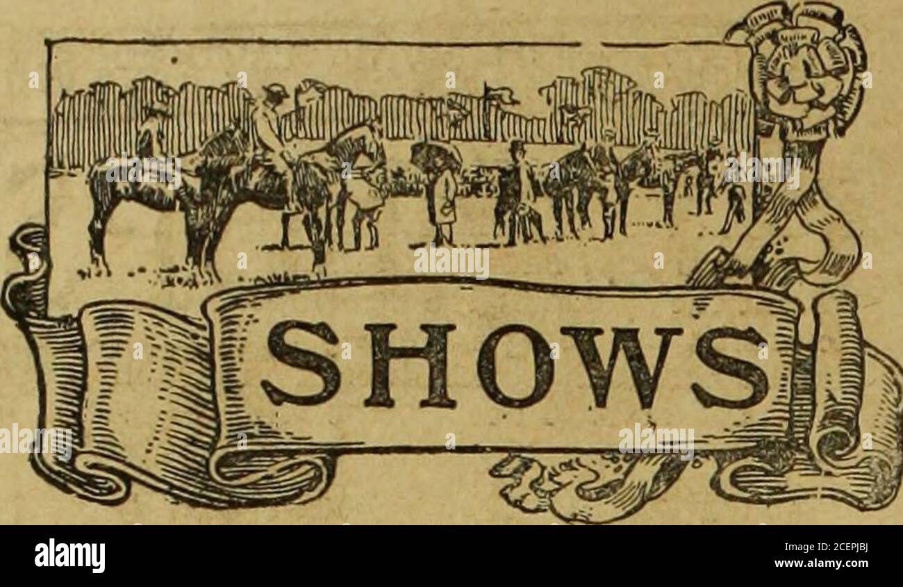 . The Mark Lane express, revue agricole & c. 17 ÉT, comtesse de Veimore 10457 ..Dr. Paul de (.ruvter 23 SOW, Velmore Duchess 10458 M. X. B^tijaiield ici Boar, Velmore Topper M. F. H. Jennings 15i SOW, Velmore Orchard Pride M. J. X. Xotley 10 Boar, Velmore Orchard Count M. W. H. Bond 13 SOW, Velmore Model M. E. Webb .15J GROS PORCS BLANCS. Wrexham Pride 14942 M.-A. Hiecnek 114 Winipson Duchess 13104 M. St Webb 10 Wimpson Lizzie 1er 14854 M. L. Withers 10 COCHON BLANC MOYEN. Islington Champion Queen 15064 M. L. Cr?s 14 Sommaire. £ a d. £ s. d. 60 Berkshires, avgd 7 8 7 445 14 6 .34 Whit Banque D'Images