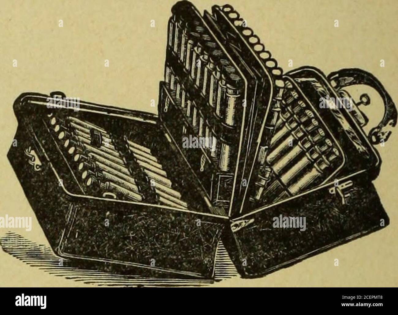 . Médecine moderne et revue bactériologique. LL DOIT ÊTRE ENVOYÉ LORS DE LA DEMANDE. 6 PUBLICITÉS. Instruments À UNE REMISE IMPORTANTE sur les prix catalogue habituels. ÉCRIVEZ-NOUS POUR LES PRIX, EN NOMMANT L'AUTRE QUE VOUS POUVEZ SOUHAITER. INSTRUMENTS CETTE élégante sacoche de sacoche, prix habituel, $8.00$12.00 BOGGY CAISSE solide. Contient 20 trois drachmes, 11 quatre drachmes. 20 bouteilles d'une once. Est dix indies loug, cinq large, et sept haut. Est fait de la meilleure Seal-Graincuirs, des cadres recouverts d'acier, des fermoirs nickelés, lockand name-plate. Comporte des poches, des instruments, des boucles et une boîte pour seringue hypodermique et thermomètre. 12 pouces de long, 1 % de haut. sl Banque D'Images