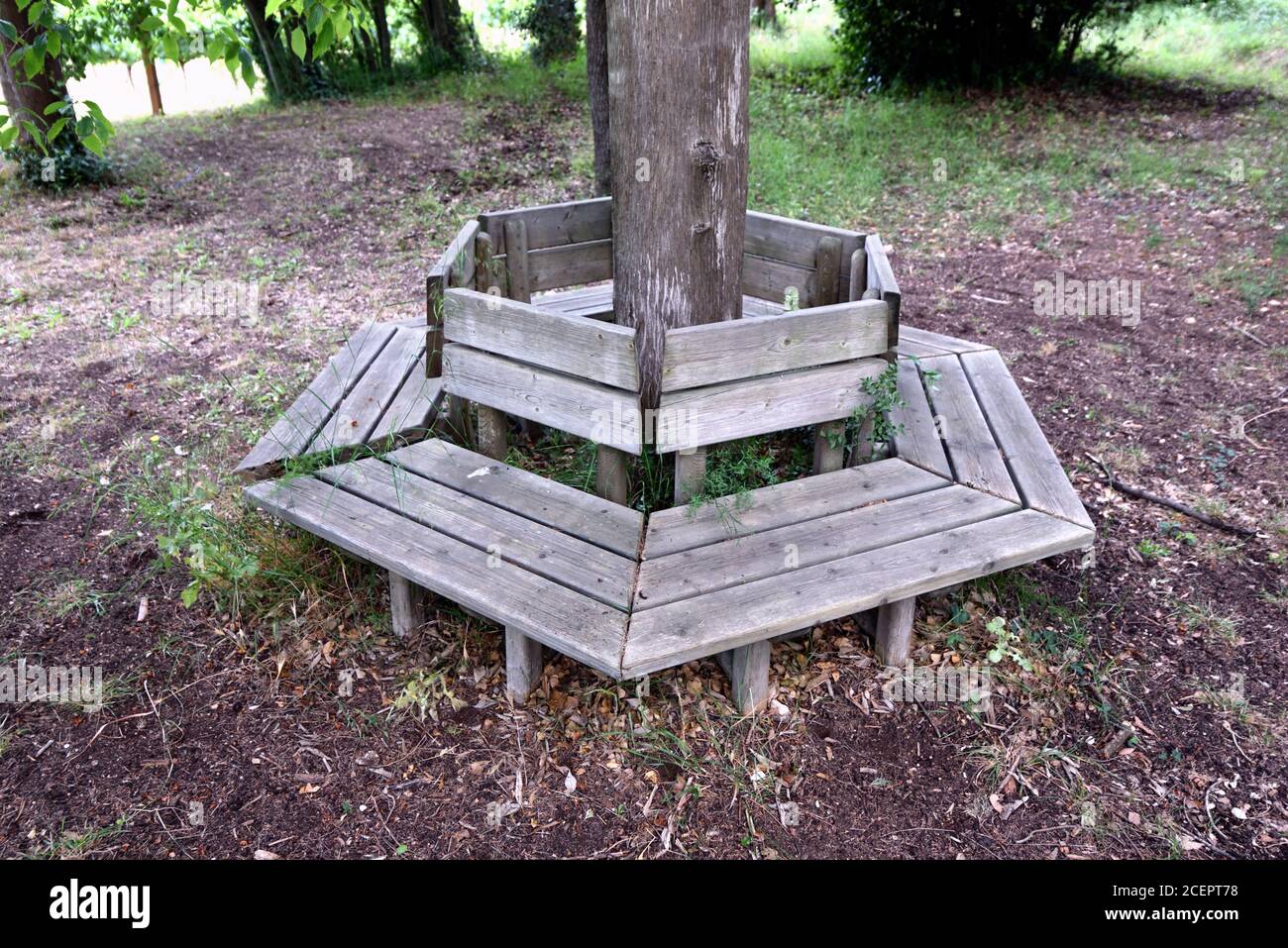 Banc d'arbre hexagonal extérieur ou banc de jardin autour de l'arbre dans Domaine de l'Escoublon Château Fontvieille Alpilles Provence France Banque D'Images