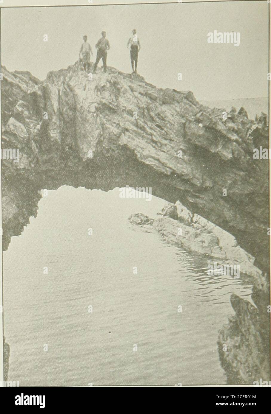 . Newfoundland Quarterly 1919-20. PONT NATUREL, LE MOUVEMENT, TCRBAV. Notre Prince! SUR LES FLÈCHES. ST. JEAN. Par M. Russell, de Gy&gt. Je le salue — Briia r Prince, & gt; Ame unio notre île de roche-iound nous allons voir notre prince venir p.avec des capuchons de capuchon sur sa joue. Vith la vérité et l'honneur dans son e de voir la tête virieuse, de manière frappante, où la couronne puissante des Britanniques se reposer.nous le saluons avec un hourra sonnant, • Thou art, de la virilité des Britanniques — le mieux ! Mais ere nous l'avons perdu dans le Cowd, que l'histoire de notre île a donné : e a badiqué nos têtes, dans la prière silencieuse, qui a fait écho à travers les portes du ciel : Dieu Banque D'Images