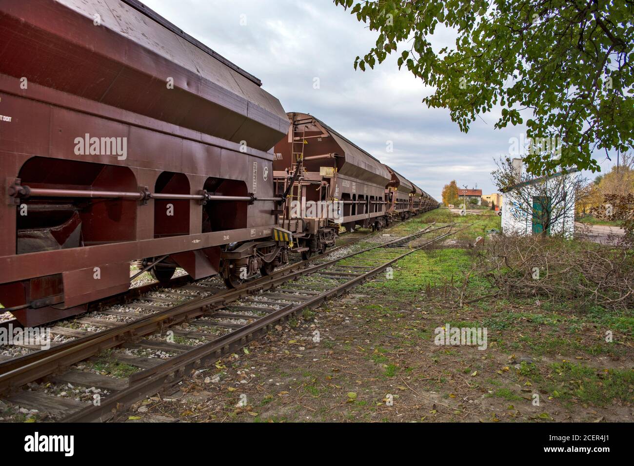 Zrenjanin, Serbie, 16 novembre 2015. Entrée d'un train de marchandises dans la gare. Le train transporte le grain. Banque D'Images