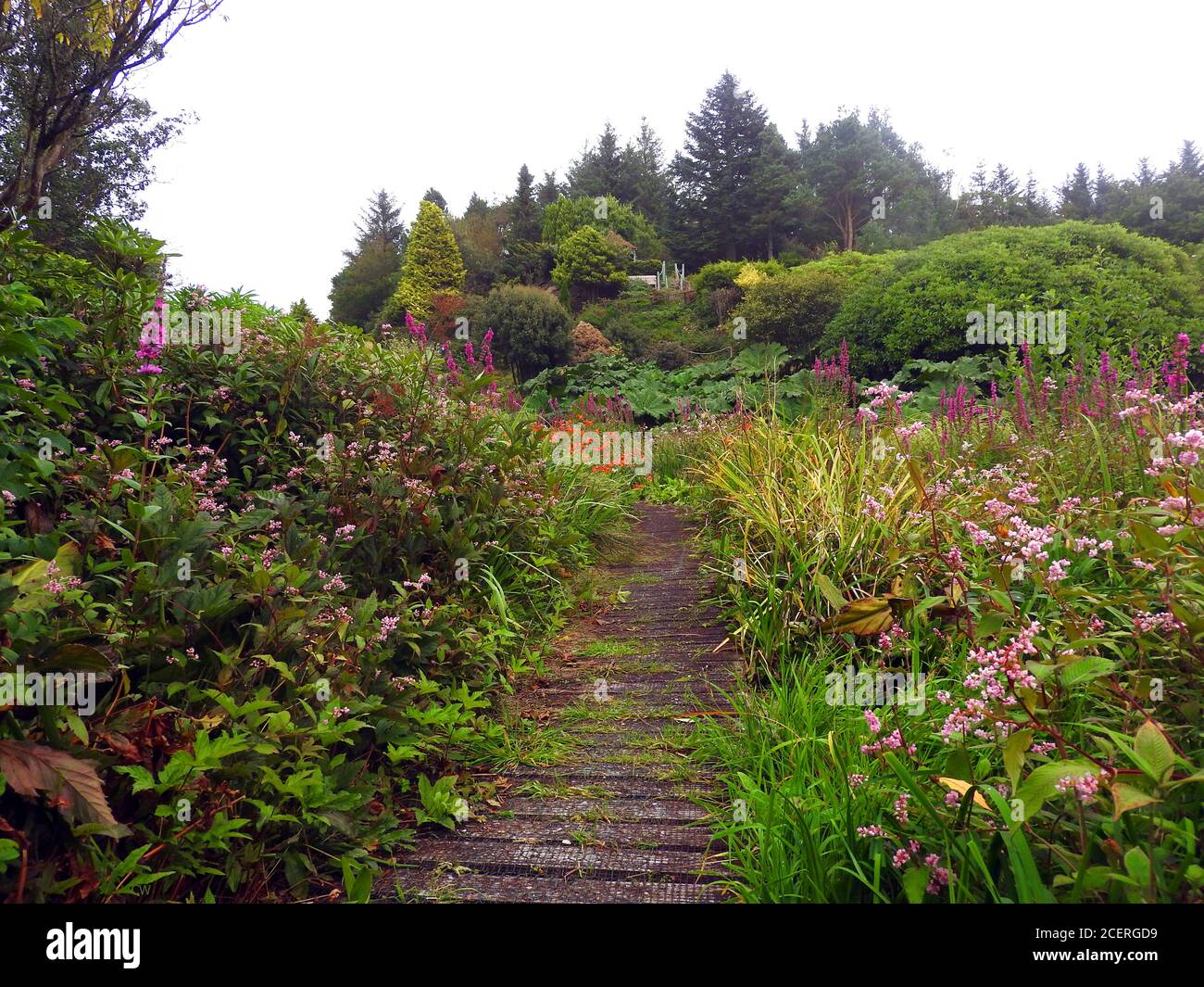 Glenwwan Gardens & Arboretum, Dunragit, Stranraer, Écosse. Ce jardin de 12 hectares sculpté dans le Moorland écossais attire des milliers de personnes chaque année. Commencé en 1979, les jardins sont un travail en cours avec 17 acres de landes, de terres humides et de tourbières environnantes encore indéveloppés. Banque D'Images