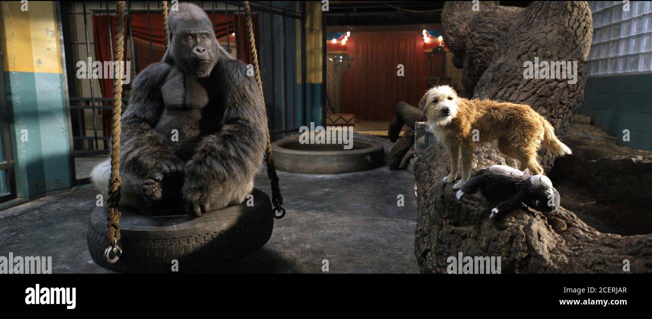 Le seul et unique Ivan est un film de fantaisie américaine de 2020 réalisé par Thea Sharrock à partir d'un scénario écrit par Mike White, basé sur le roman pour enfants du même nom de K. A. Applegate. Les stars du film les voix de Sam Rockwell, Angelina Jolie, Danny DeVito, Helen Mirren, Brooklynn Prince, Chaka Khan, Ron Funches, Phillipa Soo, et Mike White, avec les personnages humains représentés par Ramón Rodríguez, Ariana Greenblatt, Et Bryan Cranston. Cette photographie est à usage éditorial exclusif et est le copyright de la compagnie de film et/ou le photographe assigné par la compagnie de film ou de production et c Banque D'Images