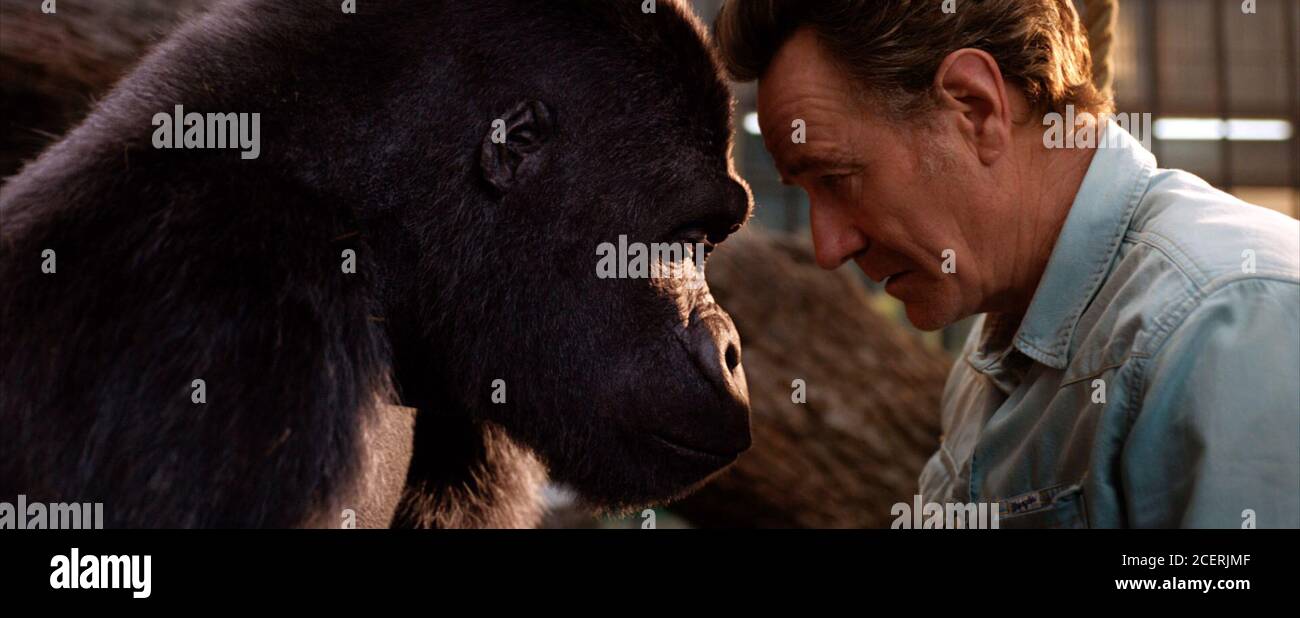 Le seul et unique Ivan est un film de fantaisie américaine de 2020 réalisé par Thea Sharrock à partir d'un scénario écrit par Mike White, basé sur le roman pour enfants du même nom de K. A. Applegate. Les stars du film les voix de Sam Rockwell, Angelina Jolie, Danny DeVito, Helen Mirren, Brooklynn Prince, Chaka Khan, Ron Funches, Phillipa Soo, et Mike White, avec les personnages humains représentés par Ramón Rodríguez, Ariana Greenblatt, Et Bryan Cranston. Cette photographie est à usage éditorial exclusif et est le copyright de la compagnie de film et/ou le photographe assigné par la compagnie de film ou de production et c Banque D'Images