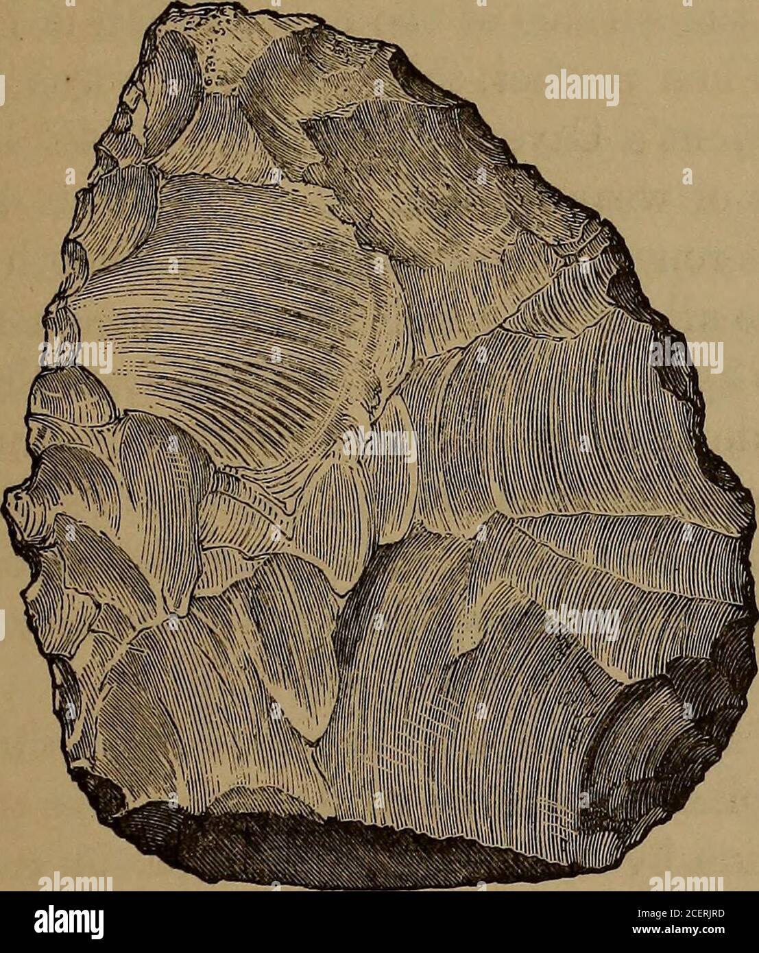 . La pierre antique met en œuvre, armes, et ornements, de la Grande-Bretagne. Ntrance. Il est décrit comme ayant couché avec d'autres instruments en contact avec des dents ofhyena, entre des bandes sombres de manganèse plein de plinters osseux, qui peuvent avoir été de vieux planchers + de la grotte; de sorte que l'occupation par l'hyène semble avoir réussi, ou alterneavec, que par mm. Il est de silex blanc, et ressemble étroitement à certains des plus petits instruments de la dérive de la rivière. * vol. Xviii., 1862, p. 115 ; xix., 1863, p. 260. Voir aussi Dawkins sur les conditions de Hamid des deux plus anciennes races connues d'hommes, Banque D'Images