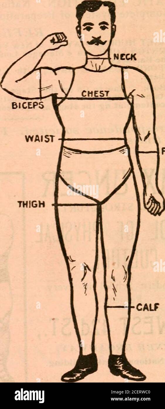 . L'almanach mondiale et l'encyclopédie. Eureka Mower au travail sur le terrain. xlii NE PAS SUPPRIMER CETTE PAGE DE L'ALMANACH. 156 EAST 23d STREET. INSTRUCTIONS PAR LA POSTE, Prof. Titus exercice physique mesure de   adresse poitrine, normale {^S^n** contracter* taille élargie : biceps cou avant-bras ThighCalf- poids (avec vêtements). Taille Age Remarques CUISSE. AVANT-BRAS Envoyez le professeur Titus vour mesures et $5, et il vous enverra par la poste le cours complet des instructions^pour développer chaque partie du corps. Ce cours dure dix semaines. Écrire pour la mesure vierge et la brochure. 2:^^ Professeur Titus livre sur cUL physique Banque D'Images