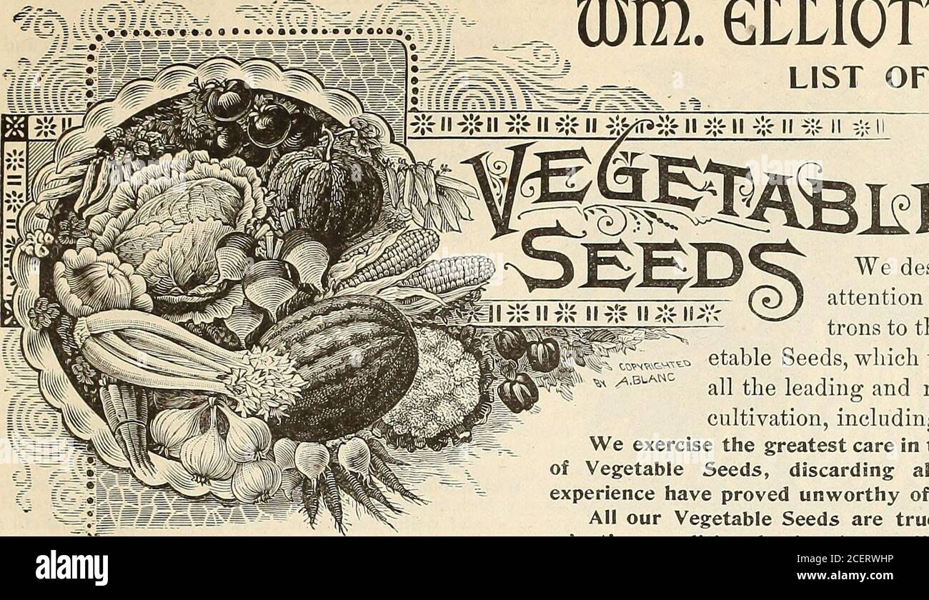 . WM. Elliott & Sons, planteurs, séparément, 7.25 $) 2 pintes us. Haricots, bague à pression, cosse verte. 2 pts ?? pod jaune. 1 •• •• ou Dwarf Lima. X ?? Pôle Lima. 1 •? Aimantation. 2 oz Betteraves, tôt et tard, Round Red.8 qts. Maïs, tôt. Moyen et tardif. 1 pkt. Chou-fleur, boule de neige. 1 oz Celer. V. :{ pkts. Chou, tôt. Moyen et tardif. 2 oz Concombre, tranchant «fe Pickling. 1 1 pkt. Plante à oeufs. 1 1 1 Endive, blanc. 6 1 Kohl Babi. 1 1 Kale Dwarf, vert curled. 2 2 laitue, tête tôt et été. 1 1 Leek, feuille large. 1 melons de ?i, 2 Musk, 2 eau. 2 1 Naturtium pour le décapage. ?2 1 Okra, Dwarf. 2 2 02. Oignon, blanc et rouge. JE Banque D'Images