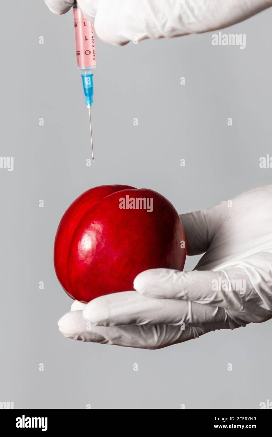 L'homme en gants fabrique des produits chimiques d'injection médicale dans les fruits de pêche. Le concept des produits OGM, des légumes et des fruits. Orientation verticale. Banque D'Images