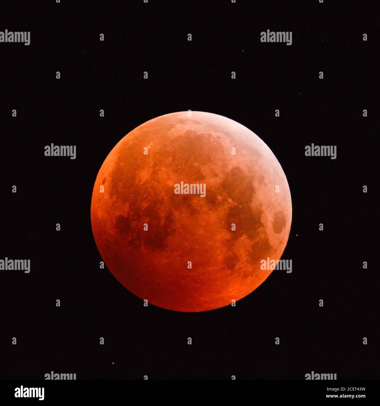 Éclipse de lune Éclipse lunaire, super, rouge sang, supermoon, lune Pleine lune orange rouge avec des étoiles scintillantes, 21 janvier 2019, l'Allemagne. Banque D'Images