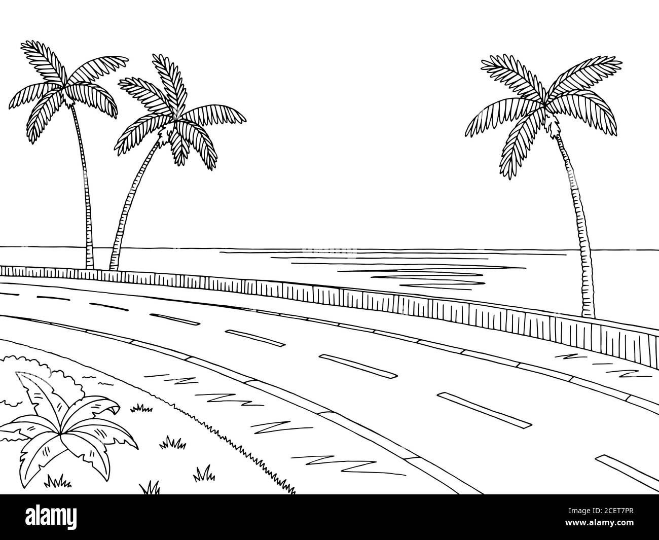 Illustration graphique de route de palmiers noir blanc paysage dessin vecteur Illustration de Vecteur