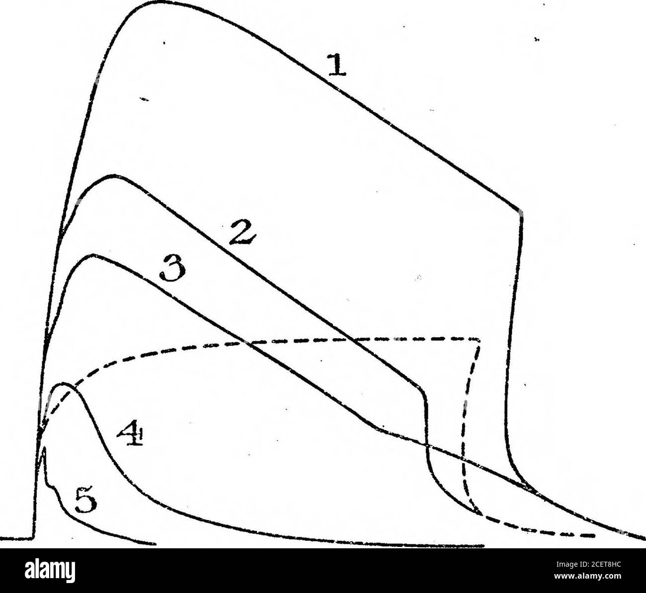 . Sur l'action de Cobra Venom. Les parties I et II du muscle timulé directement avec le tétanicourant par des électrodes accrochées dans les parties inférieure et supérieure du muscle (courbe non reproduite). 3.4. Injection de 0*6 mgrm. Venom F par voie intraveineuse (quatre fois la dose létale minimale). 3.40. Nerf stimulé à 15 cm. Distance de l'antenne comme avant, et obtenu le traçage marqué 2 dans la figure. 3.45. Tracé obtenu marqué 3 sur la figure. 3.55. Tracé obtenu marqué 4 sur la figure. 3.57. Tracé obtenu marqué 5 sur la figure. Dans ces trois dernières observations, les chocs tétaniques ont garé pendant 9 secondes, bien après que le muscle ait atteint Banque D'Images