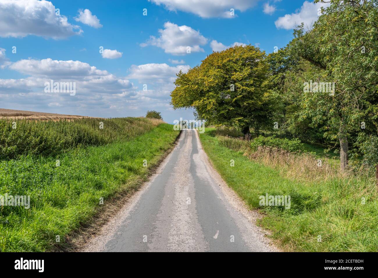 Une route de campagne dans le Yorkshire de l'est menant à la distance avec le ciel bleu par jour ensoleillé. Banque D'Images