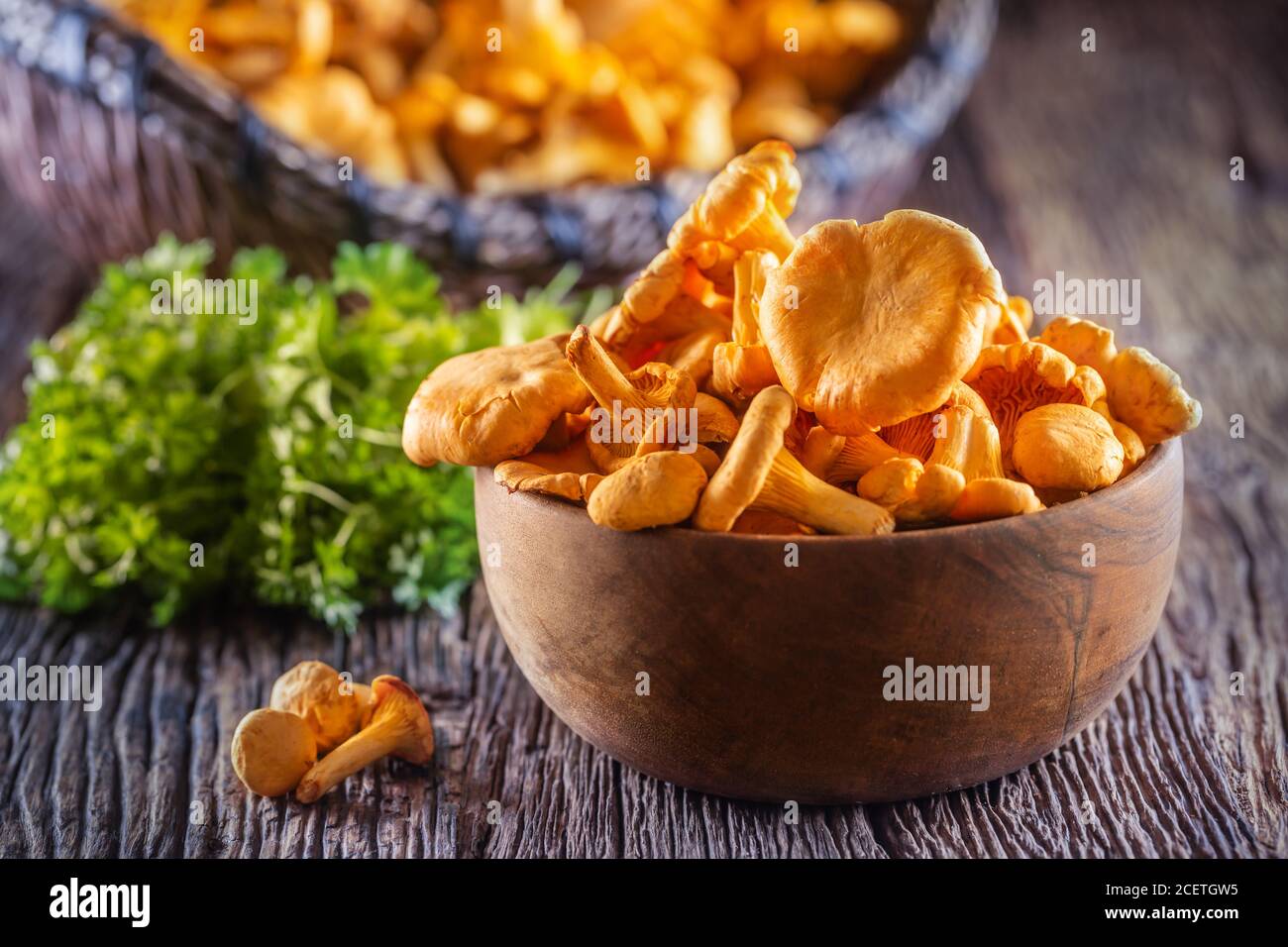 Chanterelles crues champignons dans un bol en bois avec des herbes de persil Banque D'Images