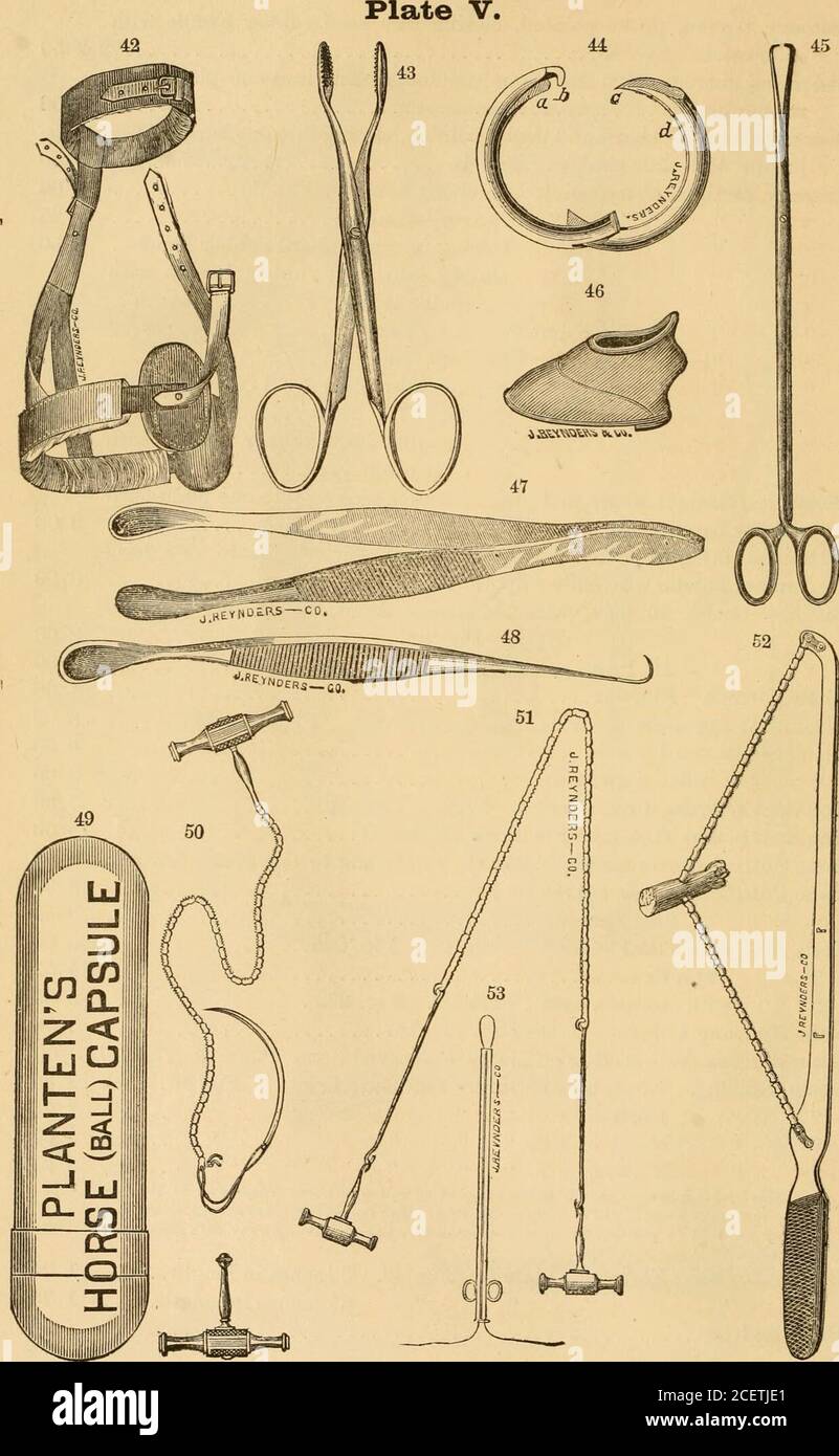 . Registre alphabétique illustré des instruments vétérinaires, modèles anatomiques, livres, & c. ugh PIN Truss Combined 10 00 Bone Cutting Forceps, à bord droit. Selon la taille $3.50; 5.50 et 7 00 coupe d'os ForcejDS, cui-ved sur plat 3 50 « angulaire 3 50 scie d'os, avec manche de pistolet. Tôle 21. Figure 245 5 00 Paidiers 4 50 « avec plaque arrière amovible 21. Figure 252 5 00 pinces de ronrclage d'os. Tôle 14. Figure 167 3 50 Forceps d'os, pour briser des morceaux d'os décilé. Tôle 19. Figure 217 3 00 bottes, Stufang. N° 1, 4^ x 5| in. Mesure de patin. Tôle 5. Figure 46. .chacun 1 50* « N° 2, 5 X 6| ..chacun 1 Banque D'Images