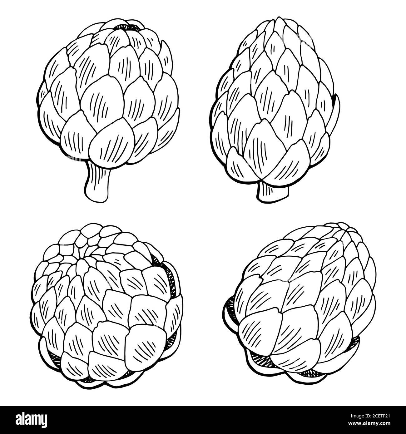 Illustration de l'artichaut graphique de plante noir blanc isolé dessin vecteur Illustration de Vecteur