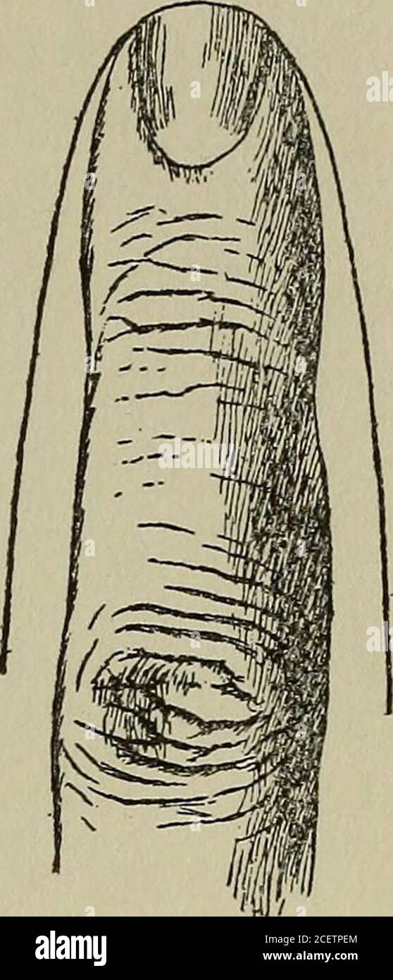 . Pathologie post mortem; un manuel de la technique des examens post