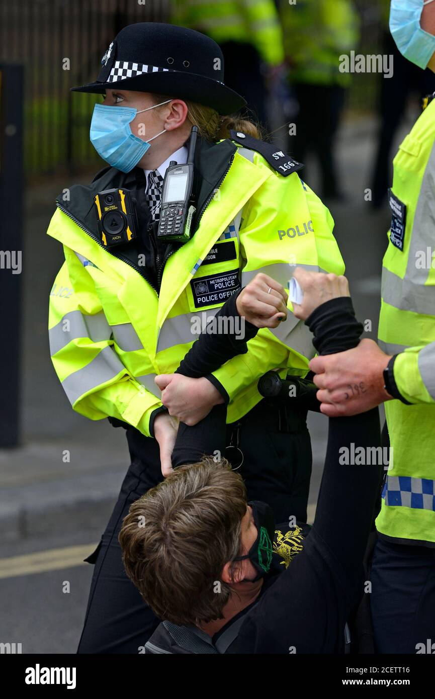 Londres, Royaume-Uni. Arrestation d'un manifestant lors d'une manifestation de la rébellion en voie d'extinction dans le centre de Londres, le 1er septembre 2020 Banque D'Images