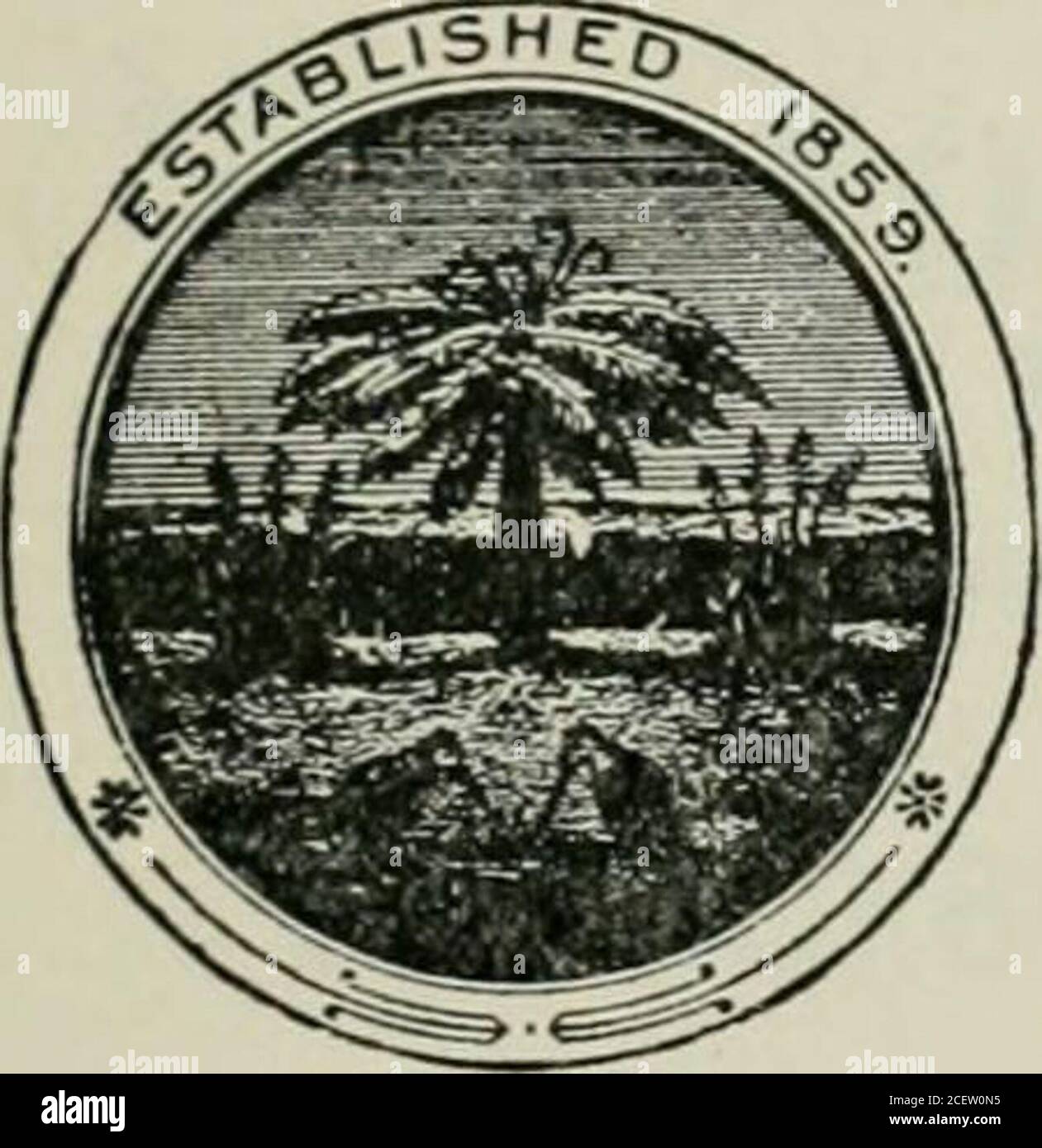 . Revue de la côte. La Norwich Union Fire Insurance Society de Norwich, Eng. ACTIF 7,792,992 $ PERTES PAYÉES 89,097,306 $ MINISTÈRE DU PACIFIQUE W. H. LOWDEN, GESTIONNAIRE J. L. FULLER, GESTIONNAIRE ADJOINT N. W. COR. Sacramento et Leidesdorff rues SAN FRANCISCO TT INCENDIE a payé toutes les pertes de San Francisco rapidement MARINE. ^ NEW ZEALAND INSURANCE COMPANY LIMITED D'AUCKLAND, N. Z. CAPITAL SOUSCRIT,CAPITAL LIBÉRÉ,ACTIFS, DEC. 1, 1907, $7,500,000 001,500,000 004,376,865 00 A FAIT DES AFFAIRES SUR LA CÔTE DEPUIS 1875 ET A ÉTABLI UN RECORD POUR DES RÈGLEMENTS RAPIDES ET ÉQUITABLES DE SES PERTES ^: ÉTATS-UNIS BRA Banque D'Images