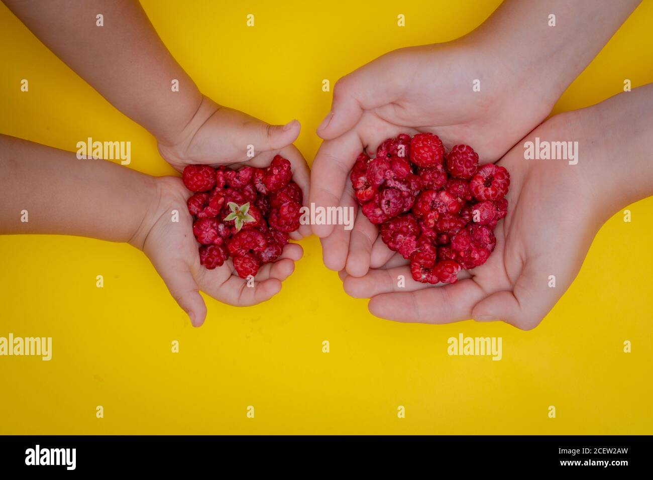 Enfants tenant les framboises rouges dans les mains, concept de vitamines Banque D'Images