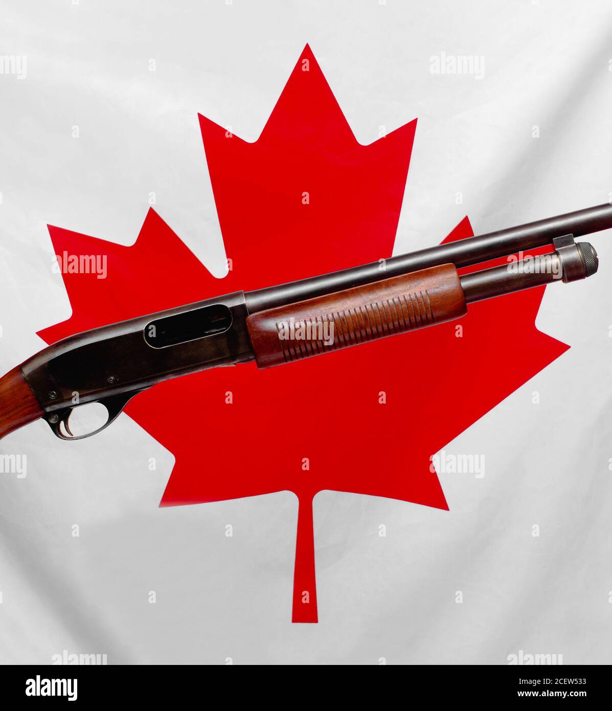 Fusil de chasse et feuille d'érable canadienne symbolisant le contrôle et les droits des armes à feu Banque D'Images