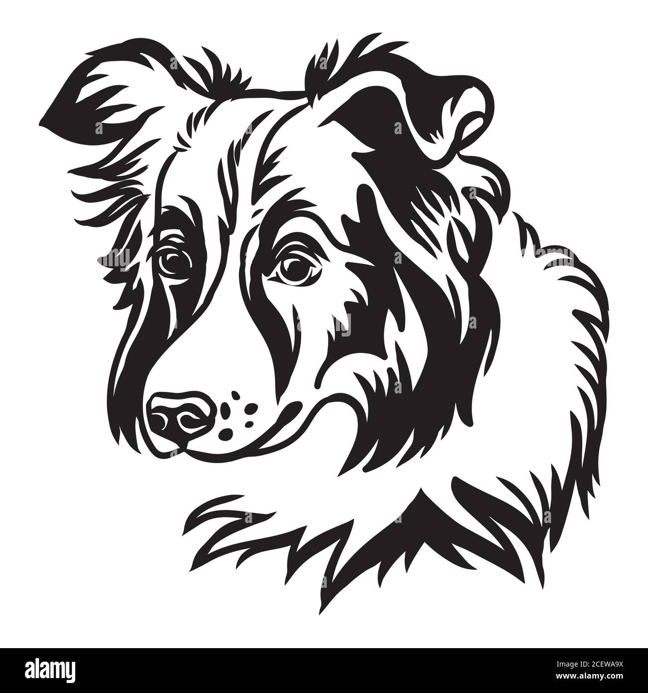 Portrait de contour décoratif de joli contour collie chien vecteur illustration en noir isolé sur fond blanc. Image isolée pour la conception et t Illustration de Vecteur Portrait de contour décoratif de joli contour collie chien vecteur illustration en noir isolé sur fond blanc. Image isolée pour la conception et t Illustration de Vecteur