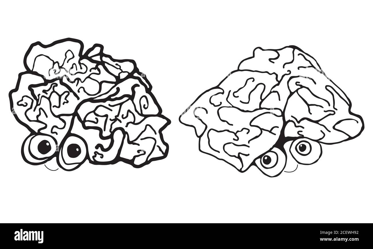 Deux drôle, dessin animé, cerveau humain, isolé sur fond blanc. Illustration de Vecteur