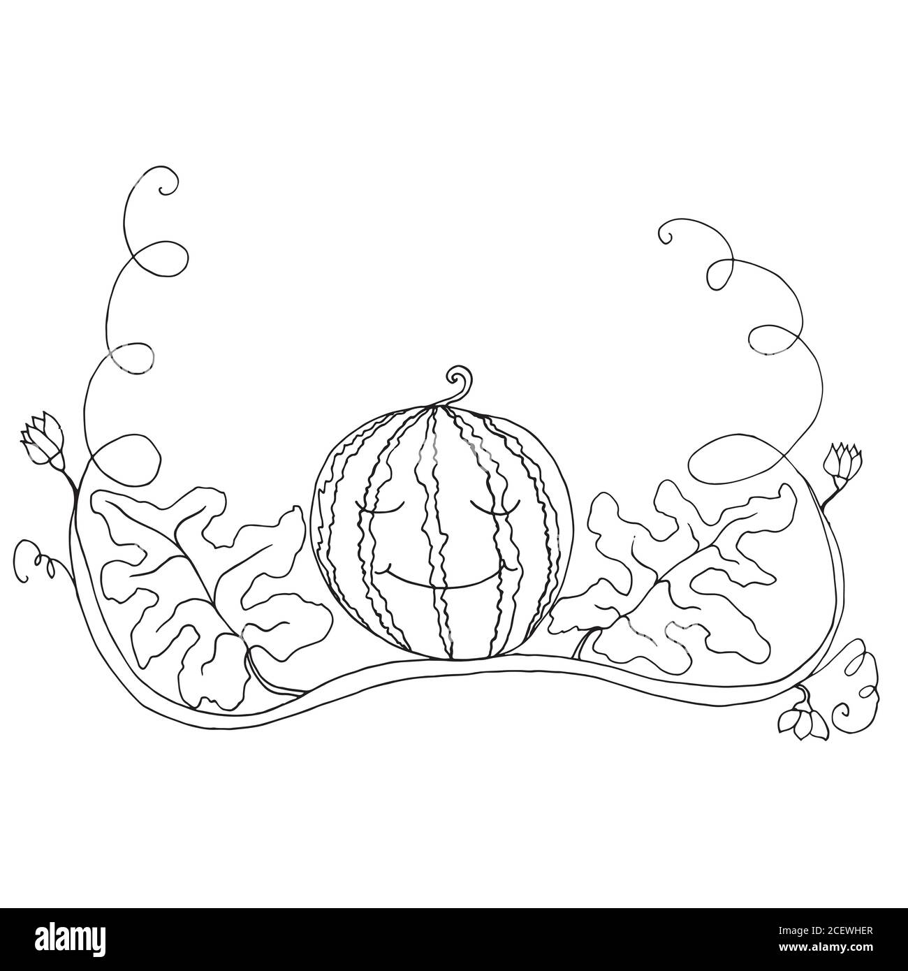Pastèque blanche noire dans le feuillage et la fleur, backgroun isolé Illustration de Vecteur