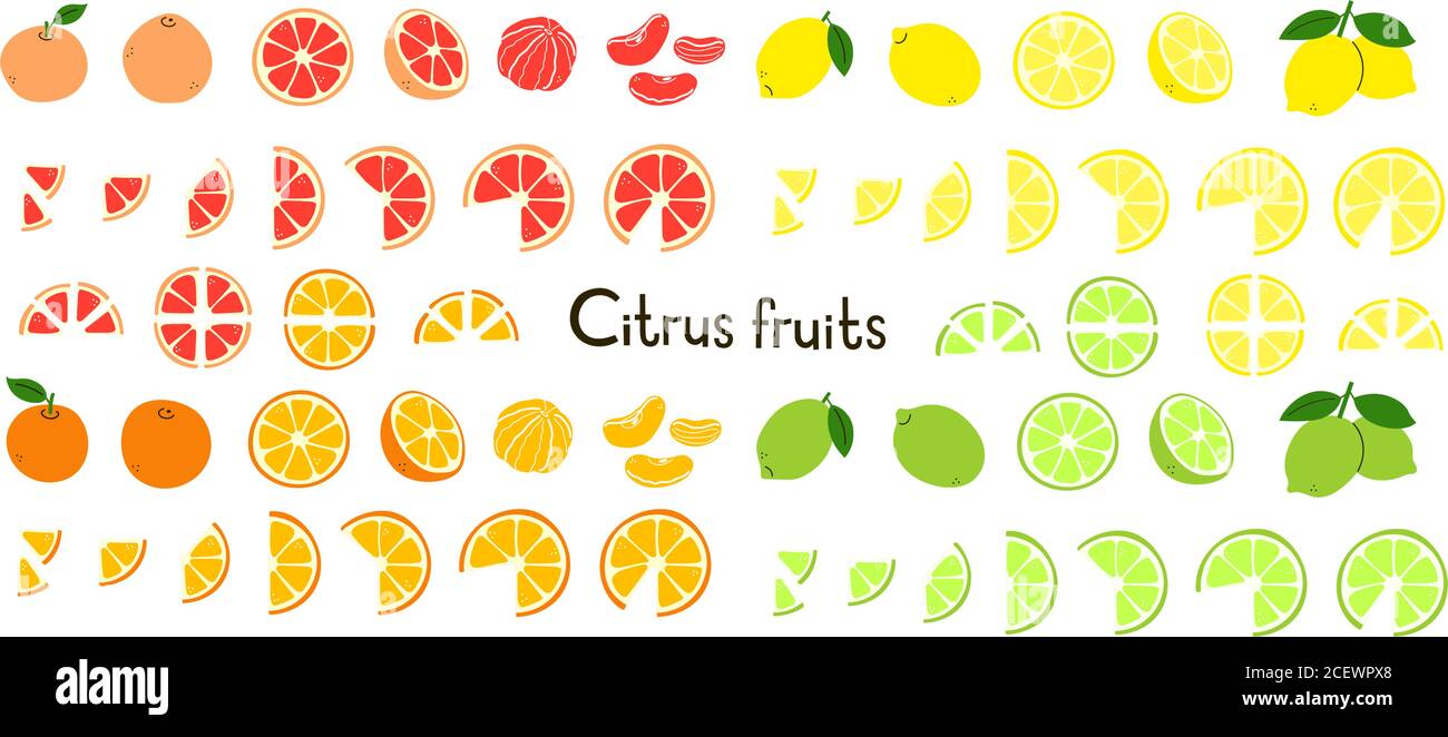 Agrumes. Citron, lime, orange, pamplemousse. Fruits entiers et coupés, moitié et tranches. Vitamine C. ensemble d'icônes vectorielles modernes positives isolées sur blanc Illustration de Vecteur