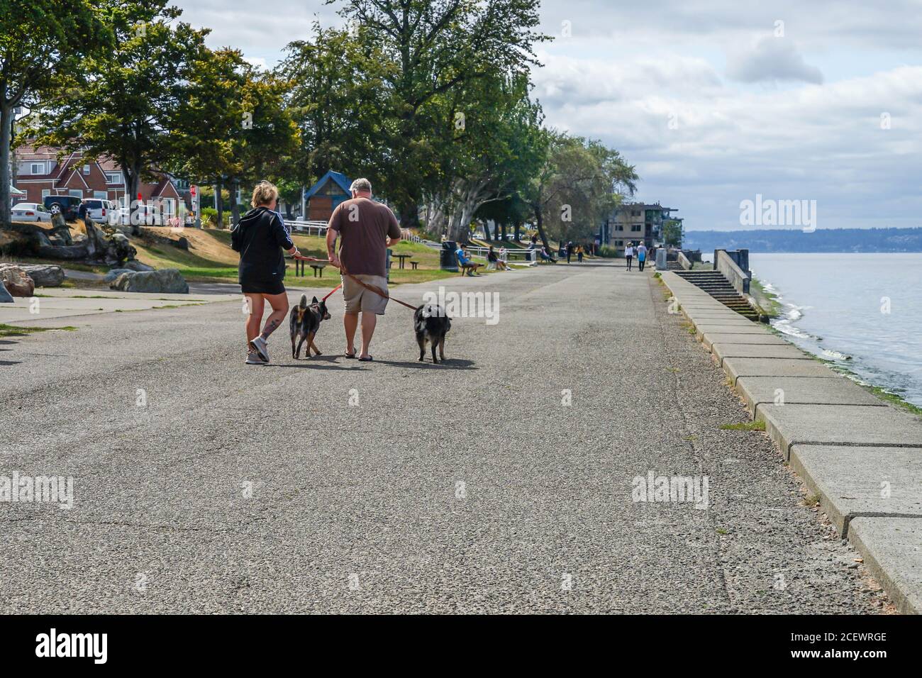 Un couple marche leurs chiens le long de la promenade de la plage, Alkai Beach, West Seattle, Wa. Banque D'Images
