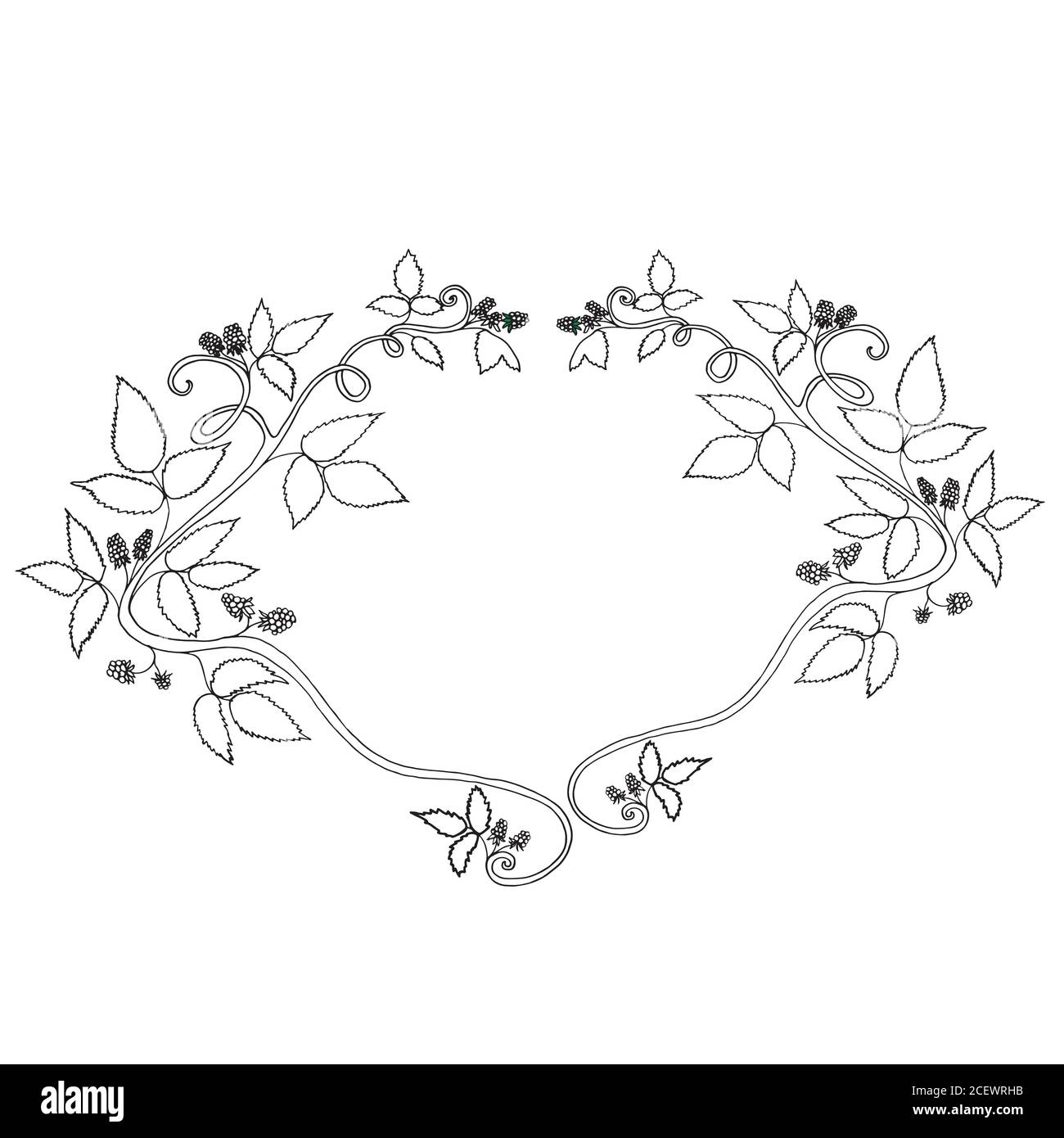 Cadre décoratif aux baies noir et blanc, isolé. Illustration de Vecteur