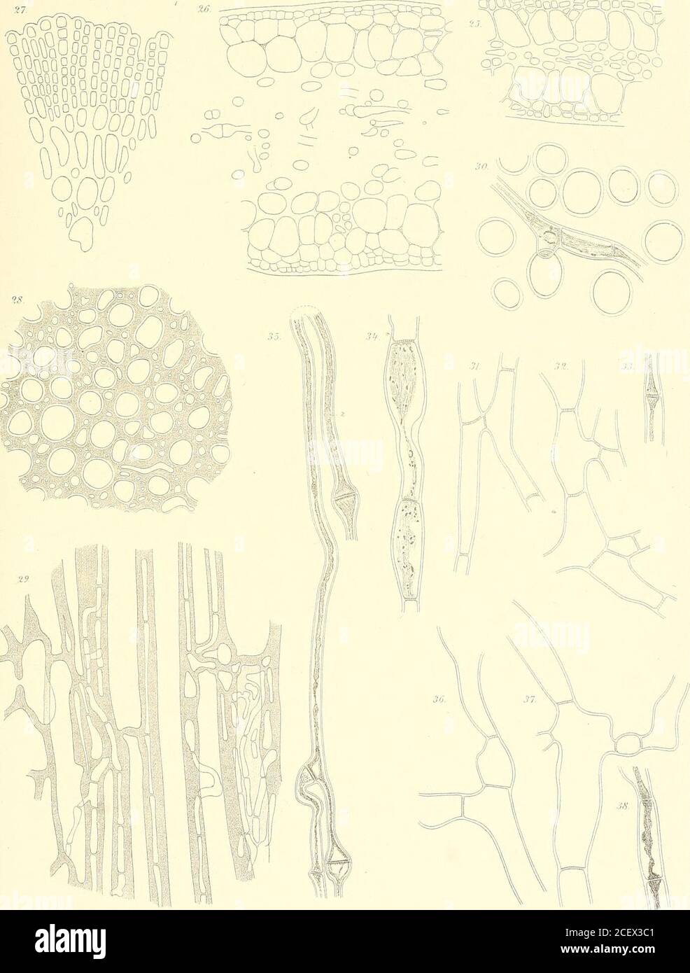 Svenska Vetenskapsakademien Handlingar Qpoqocp 53 Ooq O Oo Ooq Ooo Oooyyno Oq Oq O Von Q O V Gt N O O O O If Vfflle Et E Iiolm Ttorn Del Jtti Vv S Iil2 T Itel Xotifi Vet Iimd Hand lil M 1