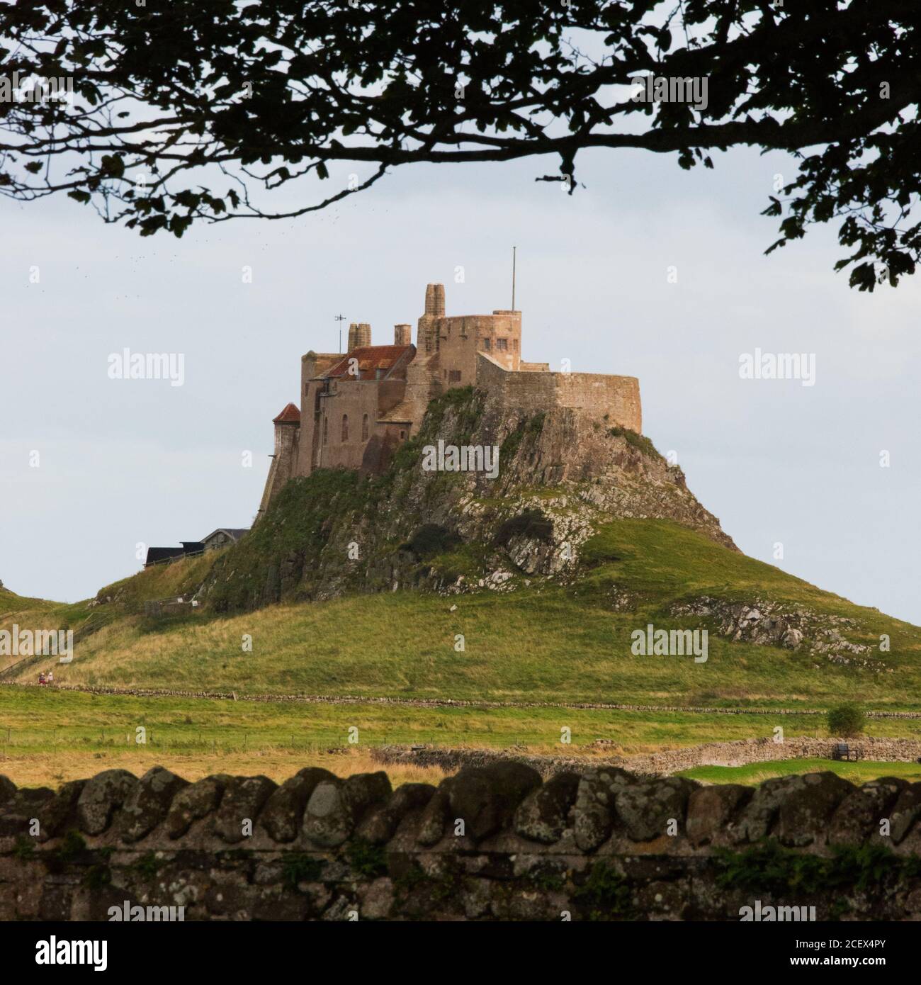 Château de Lindisfarne, Holy Island, Northumberland, Angleterre Banque D'Images