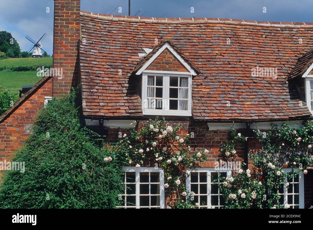 Cottage avec moulin à vent de Cobstone en arrière-plan. Buckinghamshire, Chilterns, Angleterre, Royaume-Uni Banque D'Images