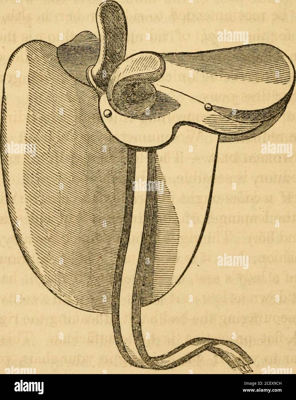 Conseils aux cavaliers : un manuel complet pour le cavaliers ... Et des  chapitres sur les mules et les poneys. Pour 34.—femmes Saddle sans l'avertisseur  sonore droit. FiO. 35.—^th« vue inverse