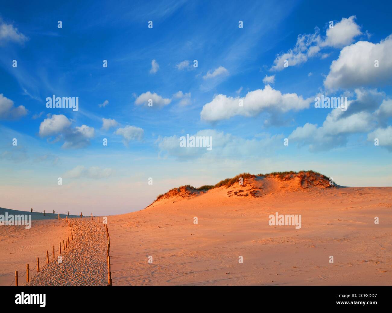 Dunes du parc national de Slowinski. Pologne. Banque D'Images