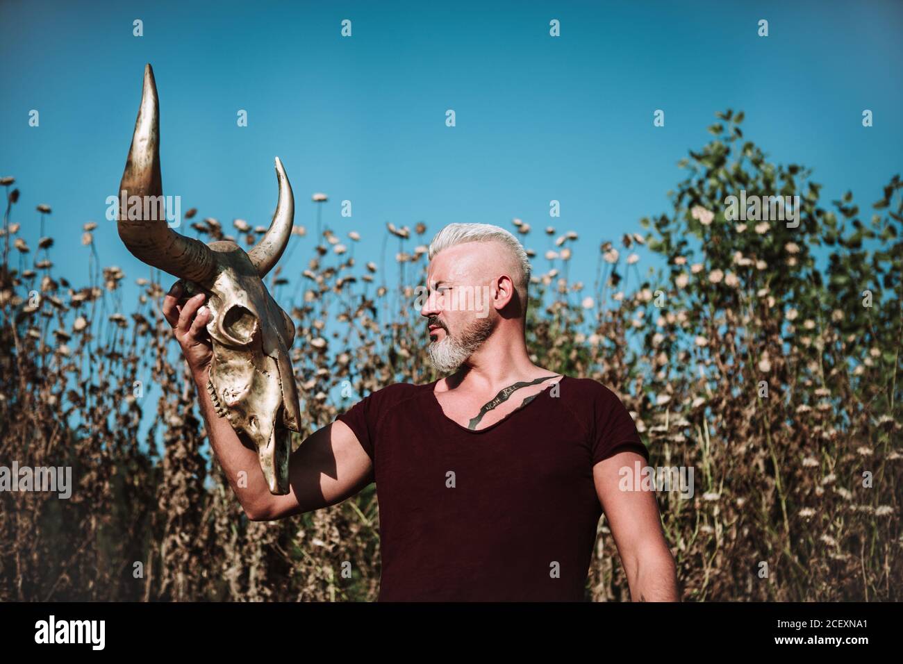 Homme gris à poil dur avec tatouage tenant la corne crâne animal en se tenant contre l'herbe haute et le ciel bleu dans la nature Banque D'Images