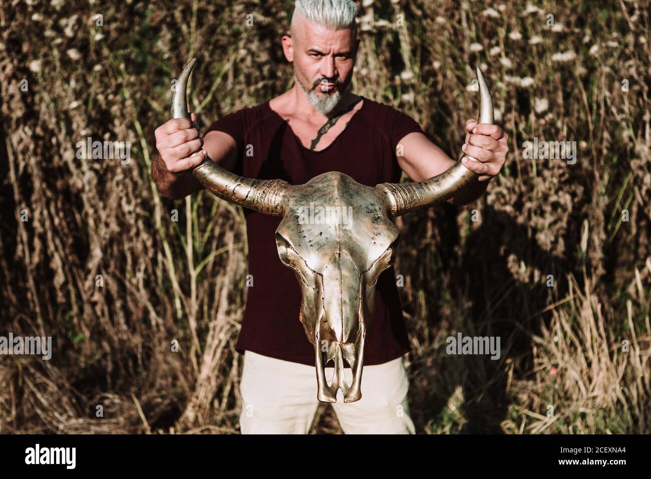 Homme gris à poil dur avec tatouage tenant la corne crâne animal en se tenant contre l'herbe haute et le ciel bleu dans la nature regardant l'appareil photo Banque D'Images