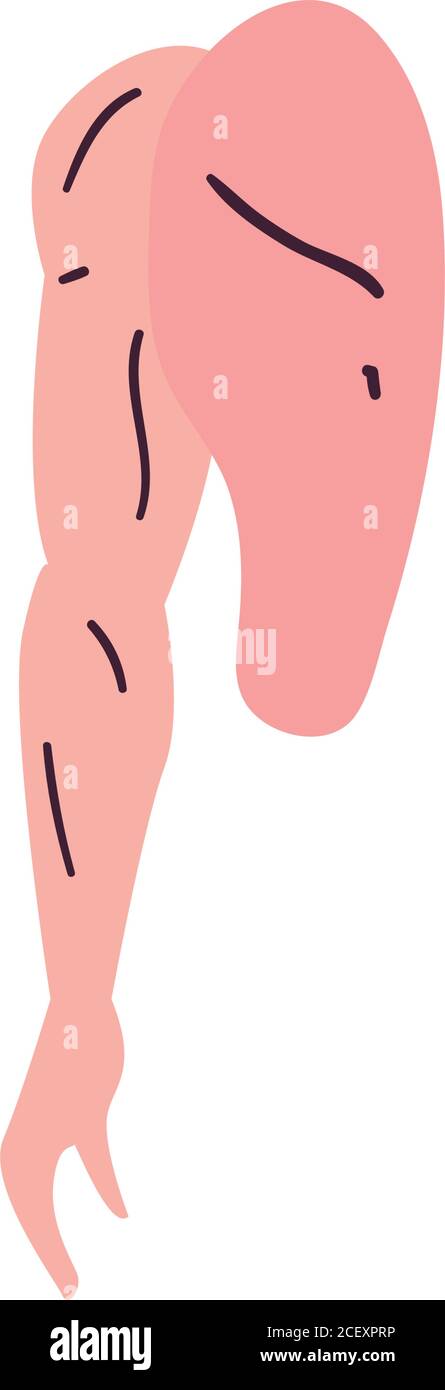 Dos de bras mâle forme libre style icône design, corps humain personne  personnes santé anatomie biologie et science thème Illustration vectorielle  Image Vectorielle Stock - Alamy
