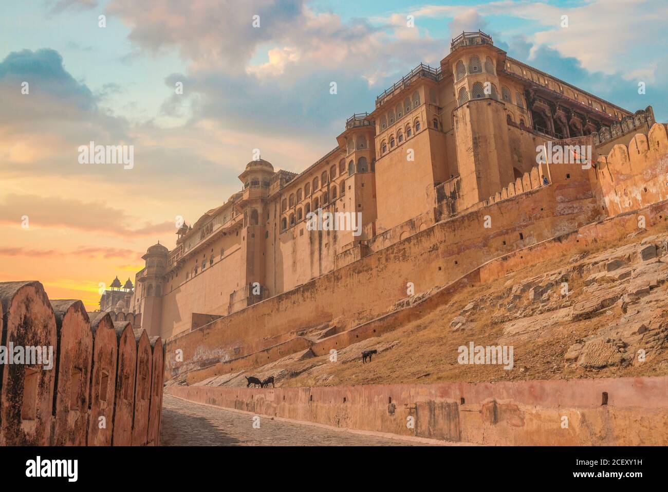 Fort Amber ou amer - résidence fortifiée de Raja . Chèvre noire. Banque D'Images