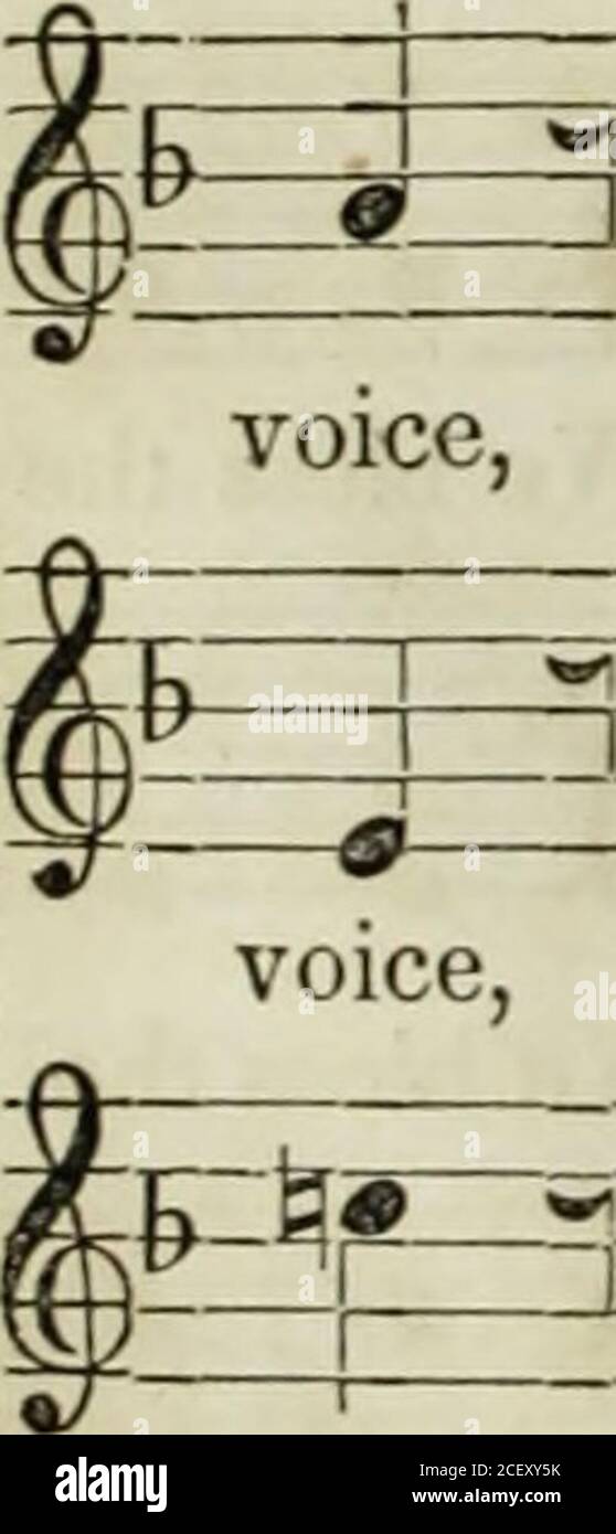 . Le livre de l'hymne de Boston : être une sélection d'hymnes, de collectionne, de mottets et d'autres pièces de set. Agneau, avec une voix gaie, et chanter, et chanter son amour saignant, nous bénis l'Agneau, avec gai ^ n: IT 1 IT «^ :^-=^ Agneau, avec une voix gaie, et chanter, et chanter son amour saignant. Nous bénis l'Agneau, avec ^g--^#=^~ip=-h= r ^^ ~Ba ^~ 1 r -R n PF-- -?^f—^-tf- o^ P Lamb, avec une voix gaie. Et chanter, et chanter son amour saignant. Nous bénis l'Agneau, avec rrr enjoué ^ ^ l^r rr rr ~-TT ^^ ITF=^ Agneau, avec une voix enjouée. Et chantez, et chantez son amour saignant, Ave bénissent l'Agneau, avec la che Banque D'Images