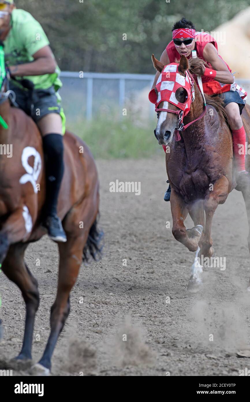 La Nation crie d'Enoch Relais indien (cheval) Race. Alberta Canada Banque D'Images