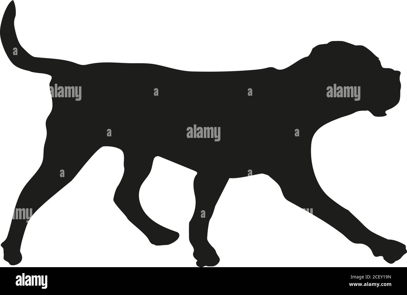 Silhouette noire du chiot mastiff italien isolé sur fond blanc. Illustration vectorielle. Illustration de Vecteur