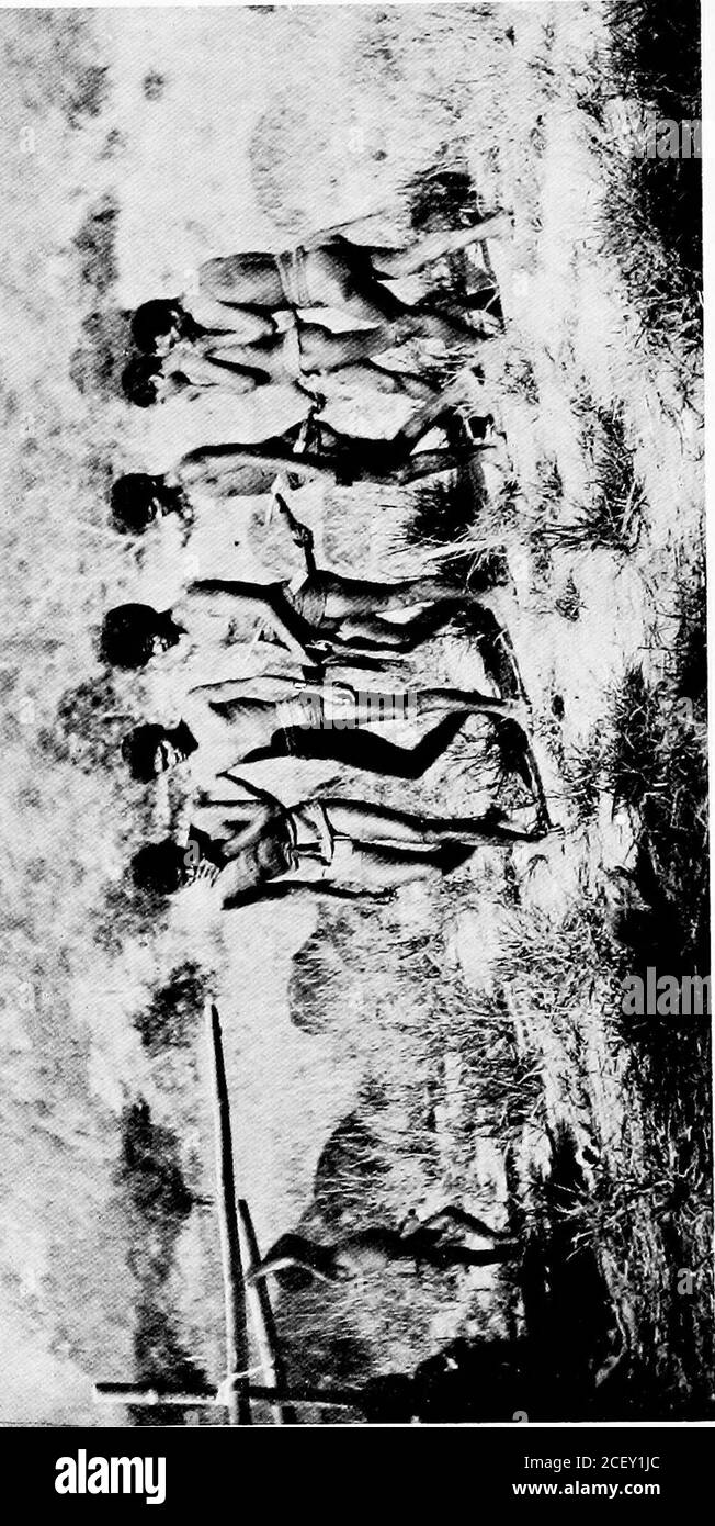 . Errance parmi les sauvages de la mer du Sud et à Bornéo et aux Philippines. d, excitedvoix. Notre propre fête s'est vite enthousiasmée, aussi, et, comme on peut l'imaginer, j'ai hâte de découvrir les applaudissements de tout cet enthousiasme. Vic m'a vite dit thereason. Il est apparu que sur le précédent daya grand parti de nos Negritos était allé dans le theterrrestrient des Buquils afin d'obtenir des variétés de produits forestiers (comme ils avaient souvent donein le passé), et avait été tracacherly attaquées par ces Buquils, et beaucoup d'entre eux ont tué. L'un d'eux était le frère d'un sous-chef, qui nous a approché, et qui était, je crois, Th Banque D'Images