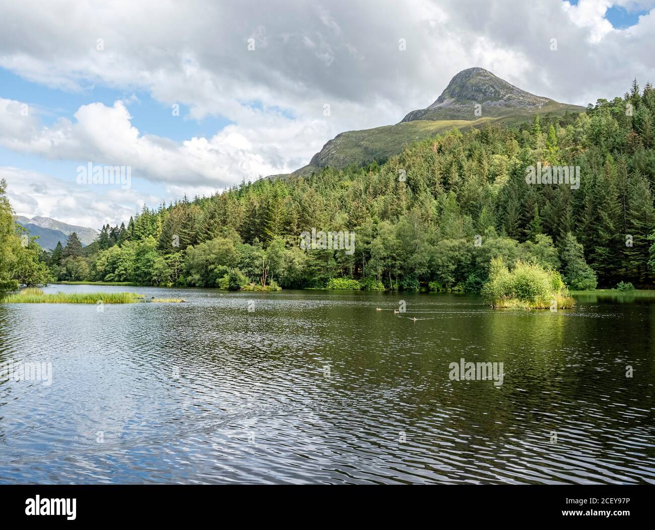 Vue sur Sgorr Na Ciche (Pap of Glencoe) en face de Glencoe Lochan, Glencoe, Écosse. Banque D'Images