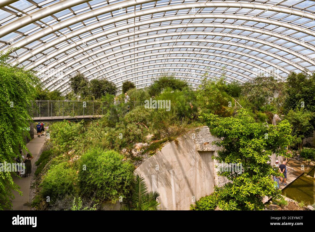 Carmarthen, pays de Galles - août 2020 : intérieur du grand dôme incurvé de la maison de verre du jardin botanique national du pays de Galles Banque D'Images