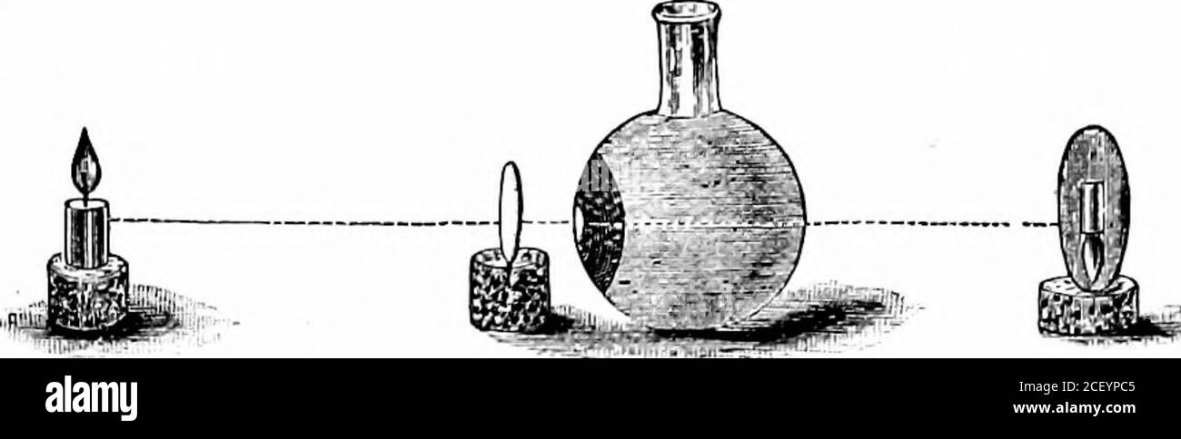 . Physiologie humaine. Figure 199. ouverture, plus l'image est nette. Ainsi, nous avons illustré l'utilisation de l'iris, le diaphragme de l'œil, en fermant la lumière étrangère qui tend à brouiller l'image produite. Nous pouvons illustrer la formation d'images dans l'œil par un appareil plus simple que celui que nous venons de décrire :—se procurer une fiole de verre globulaire toreprésenter le globe oculaire, et attacher sur le côté d'elle une pièce circulaire et perforéedu papier opaque pour représenter l'iris (fig. 200). Maintenant fixer un lenson convexe un liège, et un morceau de verre rodé sur un autre liège. Placer la convexLens devant l'iris, Banque D'Images