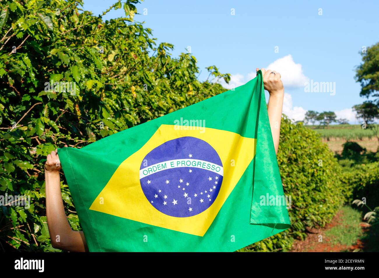 Image de concept de drapeau brésilien. Tenant le drapeau brésilien dans le vent. Banque D'Images