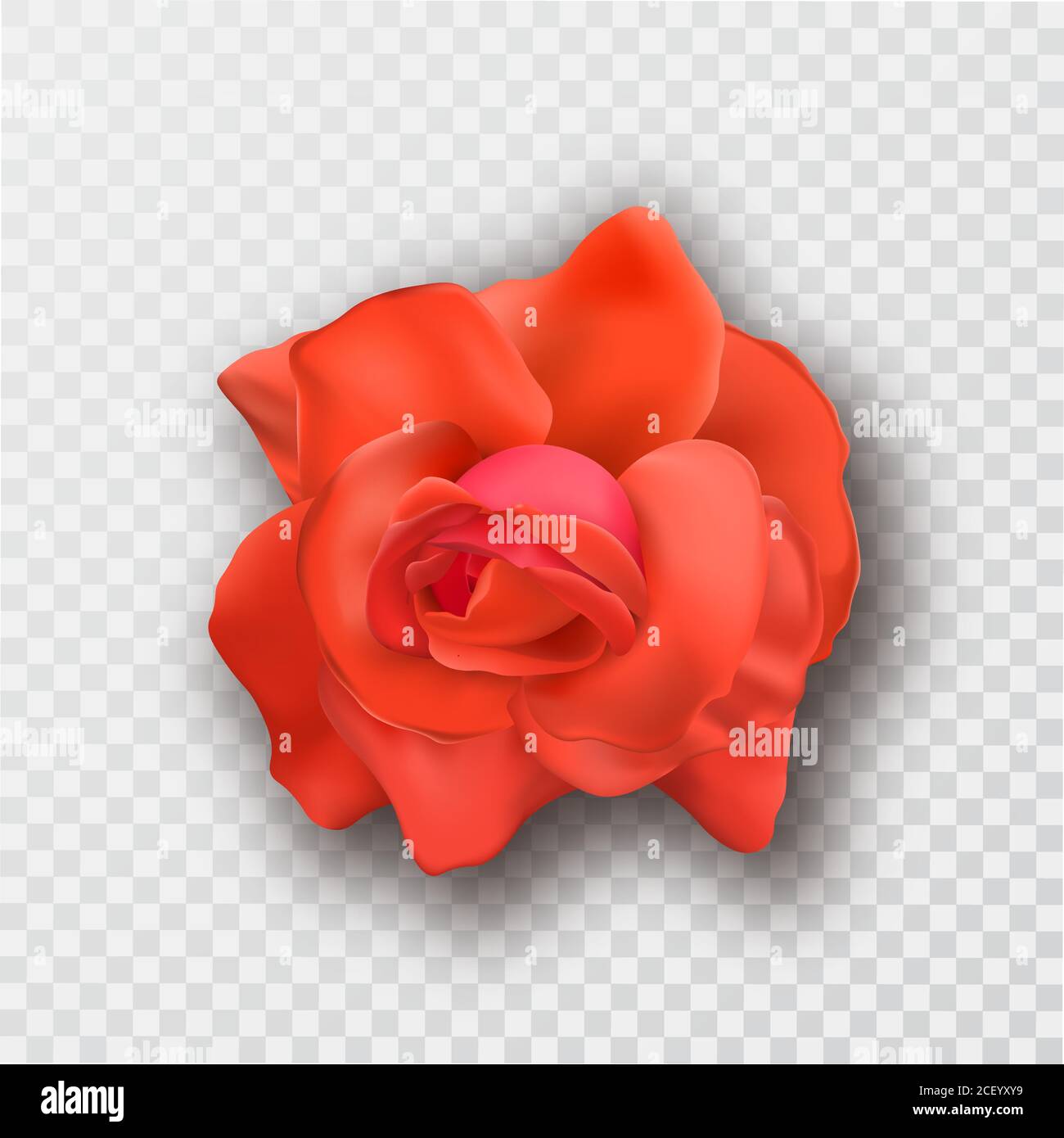 Bouton de fleur rose rouge avec ombre sur un fond transparent isolé.3D ornement.élément pour le design. Illustration vectorielle réaliste. Illustration de Vecteur